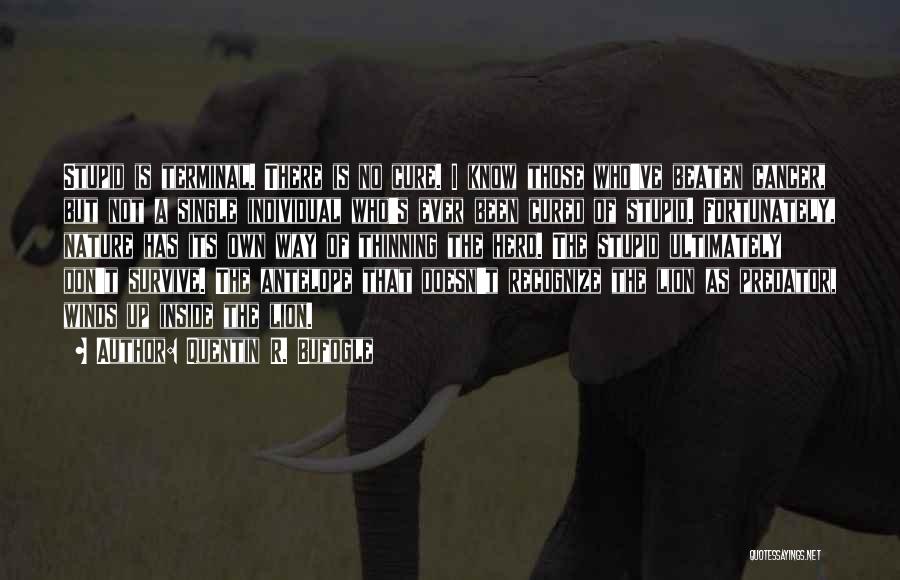 Quentin R. Bufogle Quotes: Stupid Is Terminal. There Is No Cure. I Know Those Who've Beaten Cancer, But Not A Single Individual Who's Ever