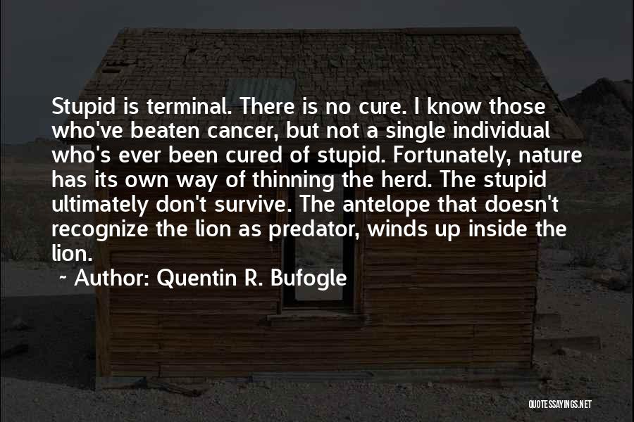 Quentin R. Bufogle Quotes: Stupid Is Terminal. There Is No Cure. I Know Those Who've Beaten Cancer, But Not A Single Individual Who's Ever
