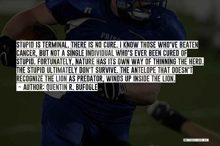 Quentin R. Bufogle Quotes: Stupid Is Terminal. There Is No Cure. I Know Those Who've Beaten Cancer, But Not A Single Individual Who's Ever