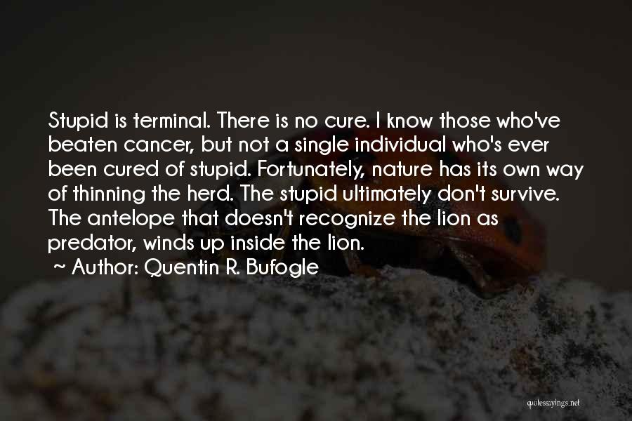 Quentin R. Bufogle Quotes: Stupid Is Terminal. There Is No Cure. I Know Those Who've Beaten Cancer, But Not A Single Individual Who's Ever