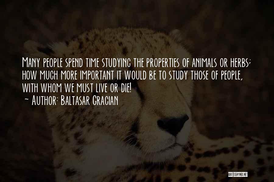 Baltasar Gracian Quotes: Many People Spend Time Studying The Properties Of Animals Or Herbs; How Much More Important It Would Be To Study