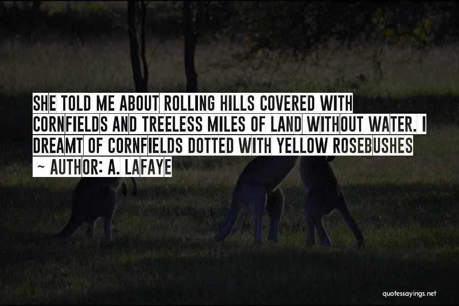 A. LaFaye Quotes: She Told Me About Rolling Hills Covered With Cornfields And Treeless Miles Of Land Without Water. I Dreamt Of Cornfields