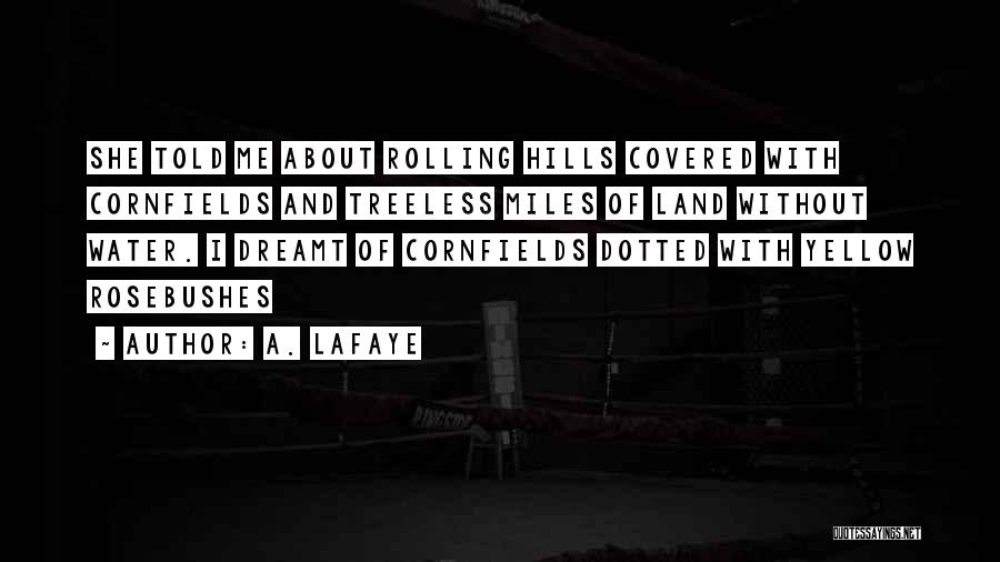 A. LaFaye Quotes: She Told Me About Rolling Hills Covered With Cornfields And Treeless Miles Of Land Without Water. I Dreamt Of Cornfields