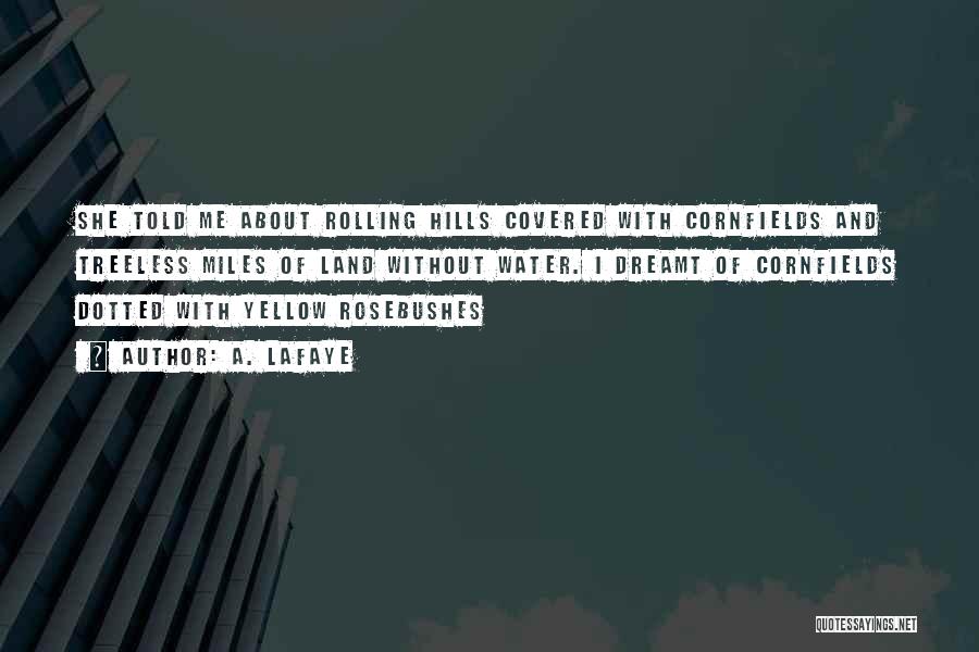 A. LaFaye Quotes: She Told Me About Rolling Hills Covered With Cornfields And Treeless Miles Of Land Without Water. I Dreamt Of Cornfields