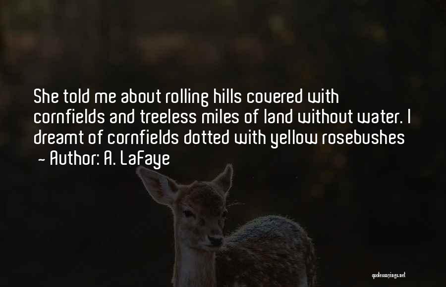 A. LaFaye Quotes: She Told Me About Rolling Hills Covered With Cornfields And Treeless Miles Of Land Without Water. I Dreamt Of Cornfields