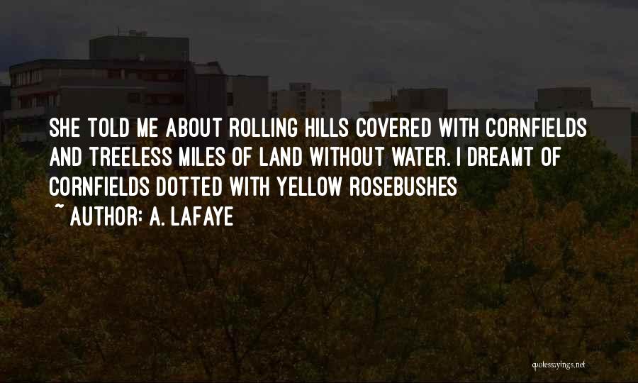 A. LaFaye Quotes: She Told Me About Rolling Hills Covered With Cornfields And Treeless Miles Of Land Without Water. I Dreamt Of Cornfields