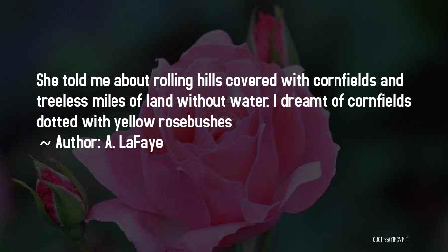 A. LaFaye Quotes: She Told Me About Rolling Hills Covered With Cornfields And Treeless Miles Of Land Without Water. I Dreamt Of Cornfields