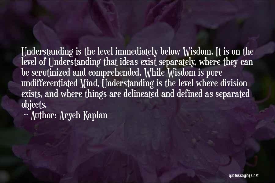 Aryeh Kaplan Quotes: Understanding Is The Level Immediately Below Wisdom. It Is On The Level Of Understanding That Ideas Exist Separately, Where They