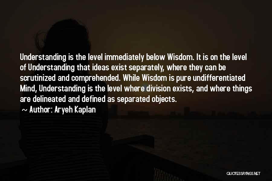 Aryeh Kaplan Quotes: Understanding Is The Level Immediately Below Wisdom. It Is On The Level Of Understanding That Ideas Exist Separately, Where They