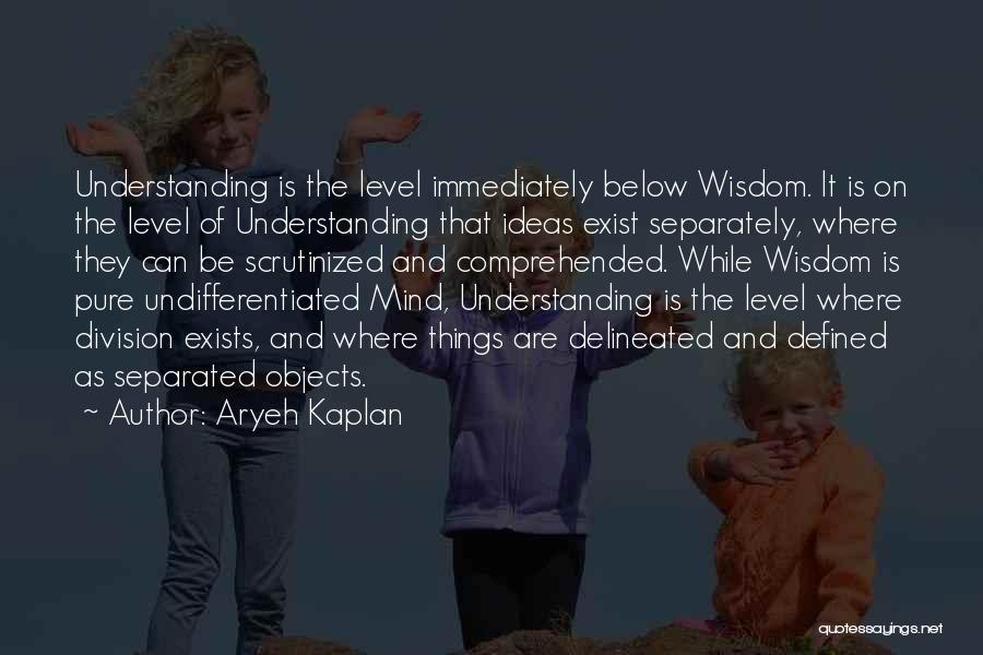 Aryeh Kaplan Quotes: Understanding Is The Level Immediately Below Wisdom. It Is On The Level Of Understanding That Ideas Exist Separately, Where They
