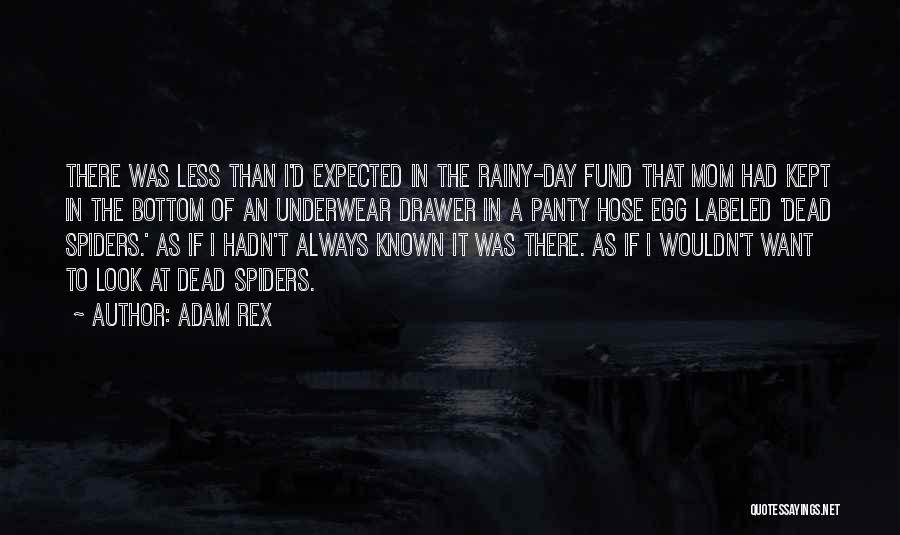 Adam Rex Quotes: There Was Less Than I'd Expected In The Rainy-day Fund That Mom Had Kept In The Bottom Of An Underwear