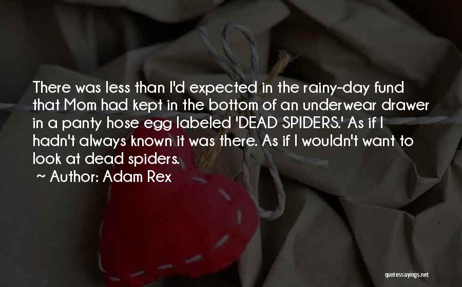 Adam Rex Quotes: There Was Less Than I'd Expected In The Rainy-day Fund That Mom Had Kept In The Bottom Of An Underwear