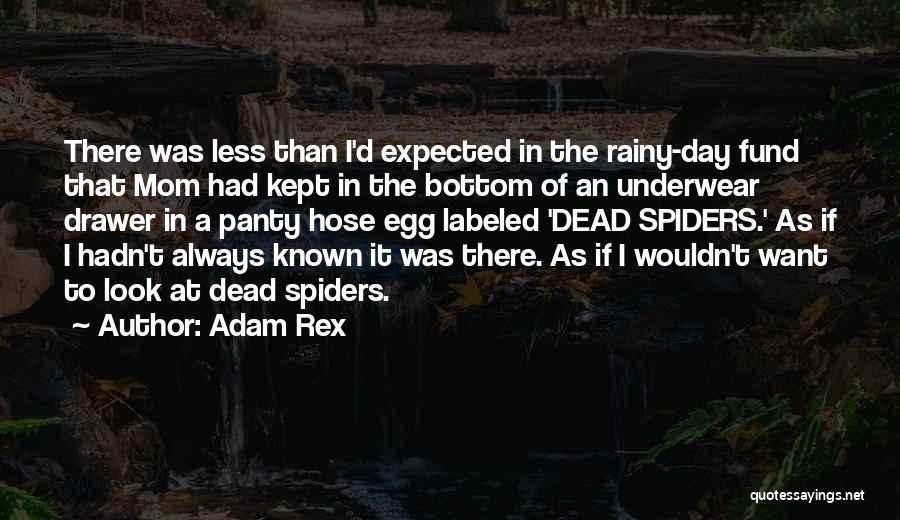 Adam Rex Quotes: There Was Less Than I'd Expected In The Rainy-day Fund That Mom Had Kept In The Bottom Of An Underwear