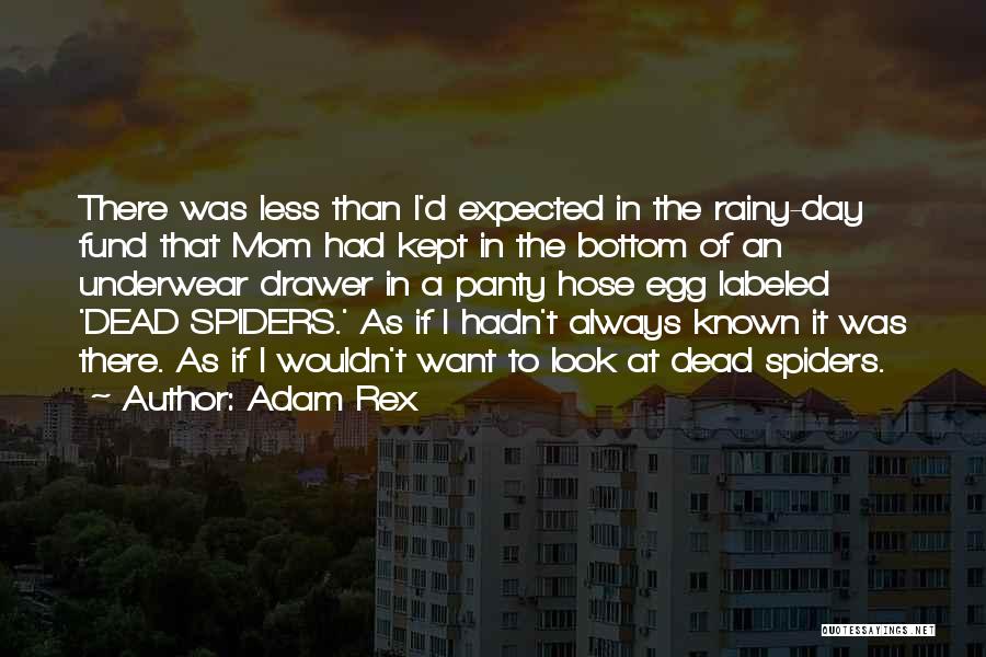 Adam Rex Quotes: There Was Less Than I'd Expected In The Rainy-day Fund That Mom Had Kept In The Bottom Of An Underwear