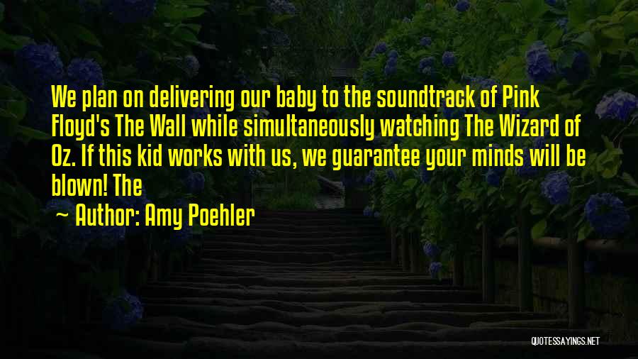 Amy Poehler Quotes: We Plan On Delivering Our Baby To The Soundtrack Of Pink Floyd's The Wall While Simultaneously Watching The Wizard Of