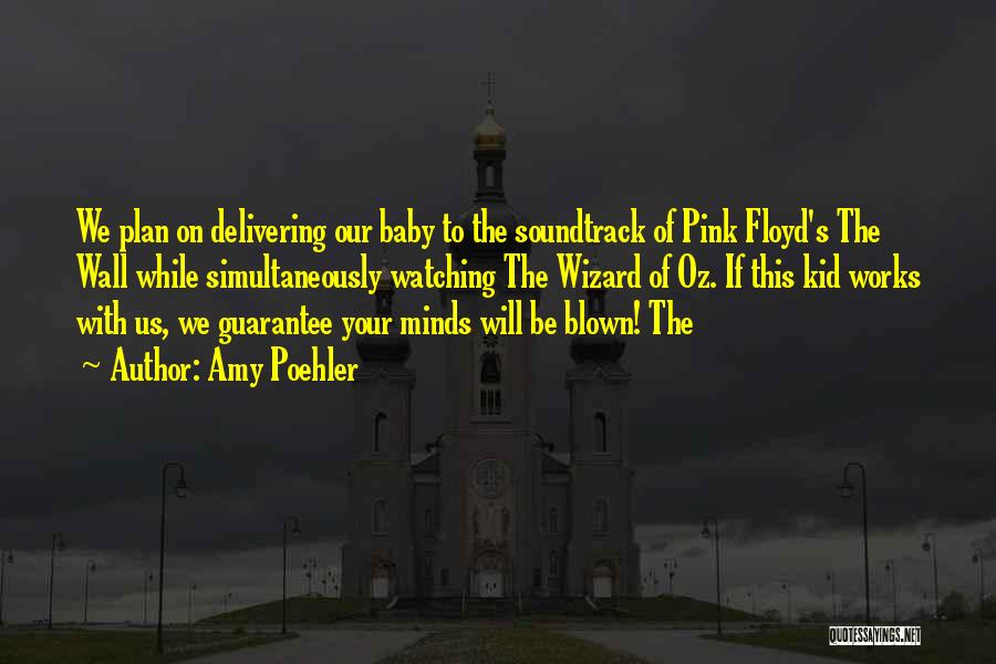 Amy Poehler Quotes: We Plan On Delivering Our Baby To The Soundtrack Of Pink Floyd's The Wall While Simultaneously Watching The Wizard Of