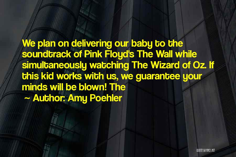Amy Poehler Quotes: We Plan On Delivering Our Baby To The Soundtrack Of Pink Floyd's The Wall While Simultaneously Watching The Wizard Of
