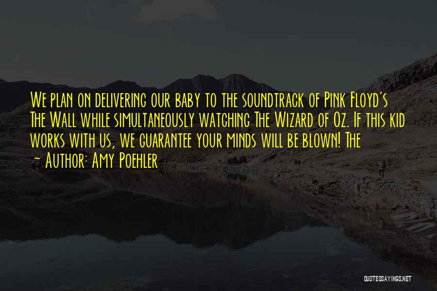 Amy Poehler Quotes: We Plan On Delivering Our Baby To The Soundtrack Of Pink Floyd's The Wall While Simultaneously Watching The Wizard Of
