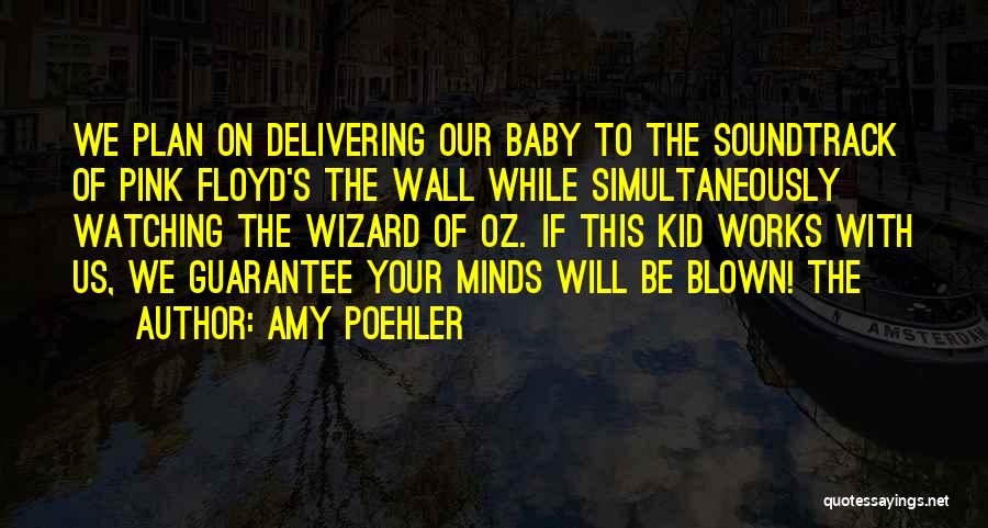 Amy Poehler Quotes: We Plan On Delivering Our Baby To The Soundtrack Of Pink Floyd's The Wall While Simultaneously Watching The Wizard Of