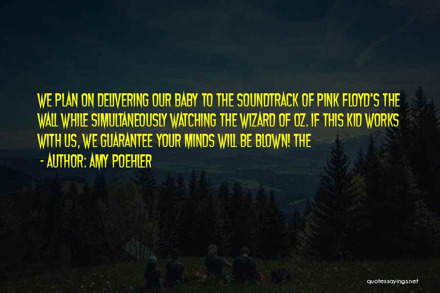 Amy Poehler Quotes: We Plan On Delivering Our Baby To The Soundtrack Of Pink Floyd's The Wall While Simultaneously Watching The Wizard Of