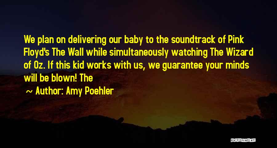 Amy Poehler Quotes: We Plan On Delivering Our Baby To The Soundtrack Of Pink Floyd's The Wall While Simultaneously Watching The Wizard Of