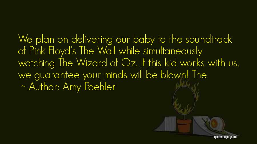 Amy Poehler Quotes: We Plan On Delivering Our Baby To The Soundtrack Of Pink Floyd's The Wall While Simultaneously Watching The Wizard Of
