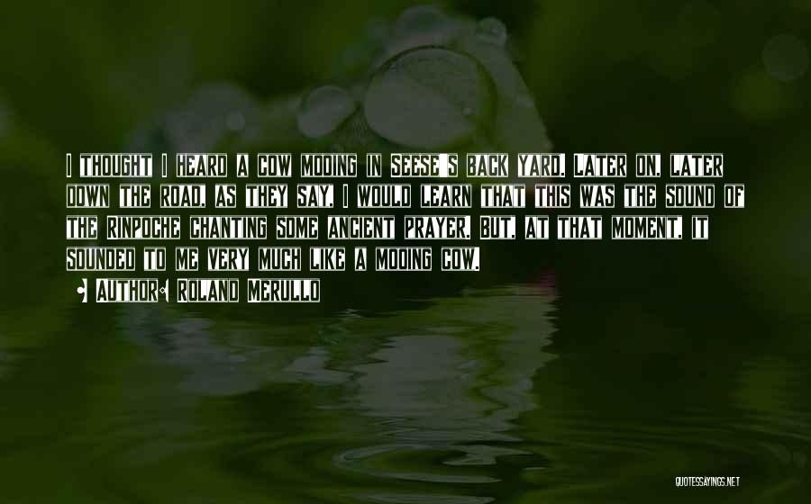 Roland Merullo Quotes: I Thought I Heard A Cow Mooing In Seese's Back Yard. Later On, Later Down The Road, As They Say,