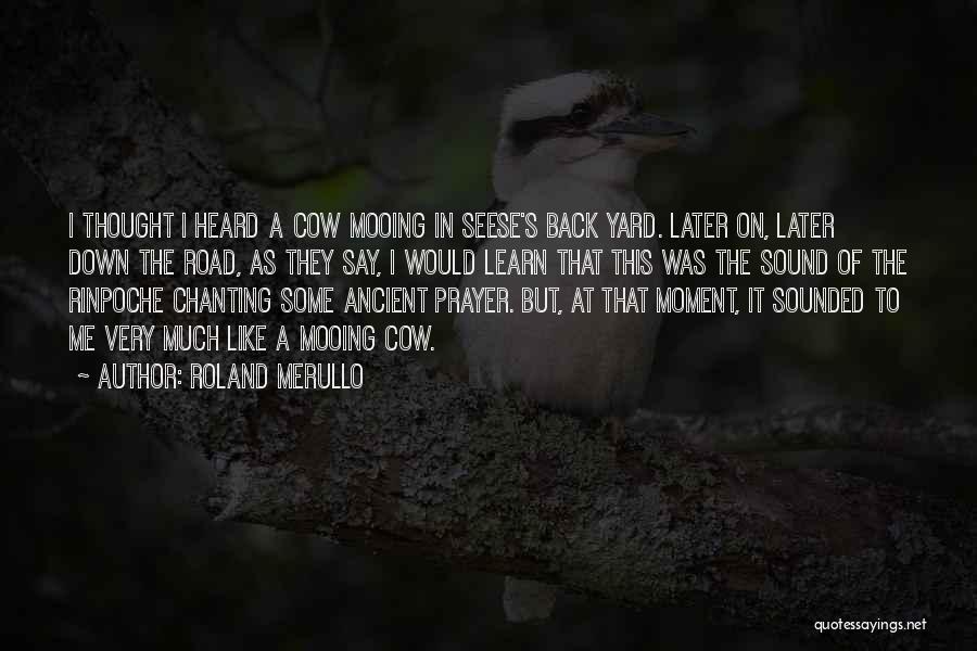 Roland Merullo Quotes: I Thought I Heard A Cow Mooing In Seese's Back Yard. Later On, Later Down The Road, As They Say,