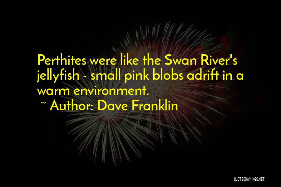 Dave Franklin Quotes: Perthites Were Like The Swan River's Jellyfish - Small Pink Blobs Adrift In A Warm Environment.