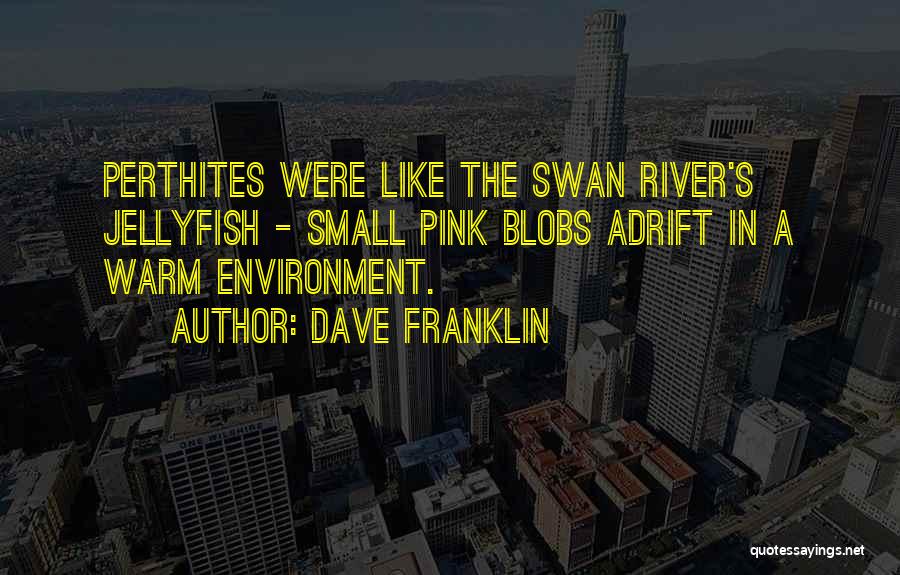 Dave Franklin Quotes: Perthites Were Like The Swan River's Jellyfish - Small Pink Blobs Adrift In A Warm Environment.