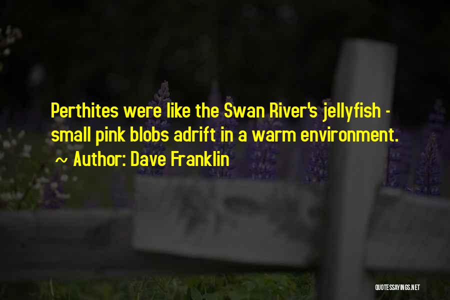 Dave Franklin Quotes: Perthites Were Like The Swan River's Jellyfish - Small Pink Blobs Adrift In A Warm Environment.