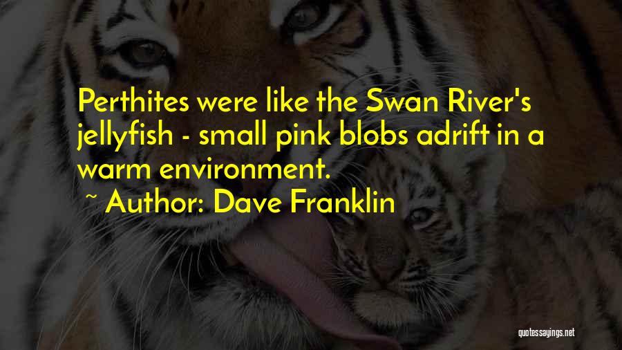 Dave Franklin Quotes: Perthites Were Like The Swan River's Jellyfish - Small Pink Blobs Adrift In A Warm Environment.