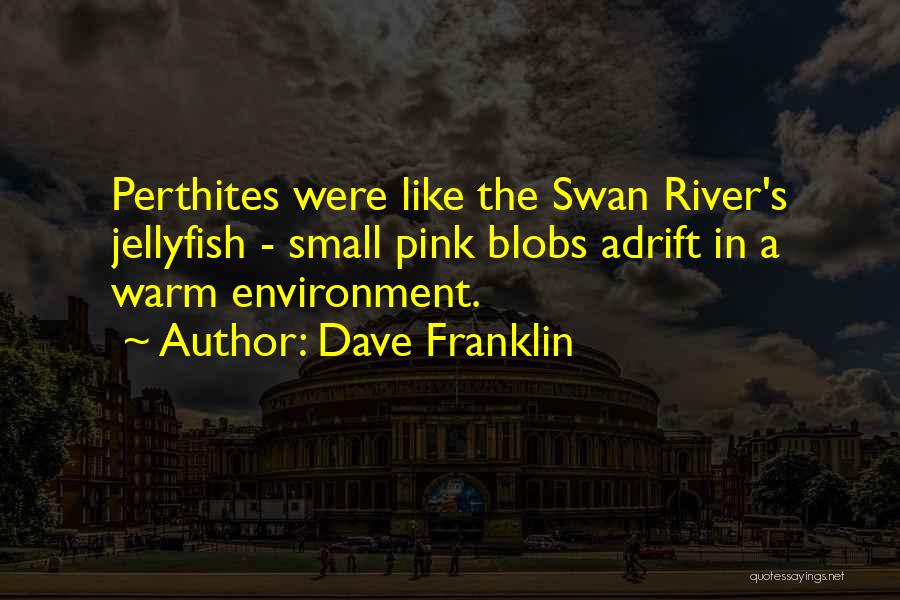 Dave Franklin Quotes: Perthites Were Like The Swan River's Jellyfish - Small Pink Blobs Adrift In A Warm Environment.