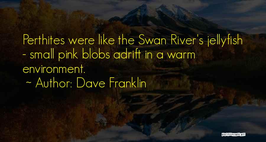 Dave Franklin Quotes: Perthites Were Like The Swan River's Jellyfish - Small Pink Blobs Adrift In A Warm Environment.