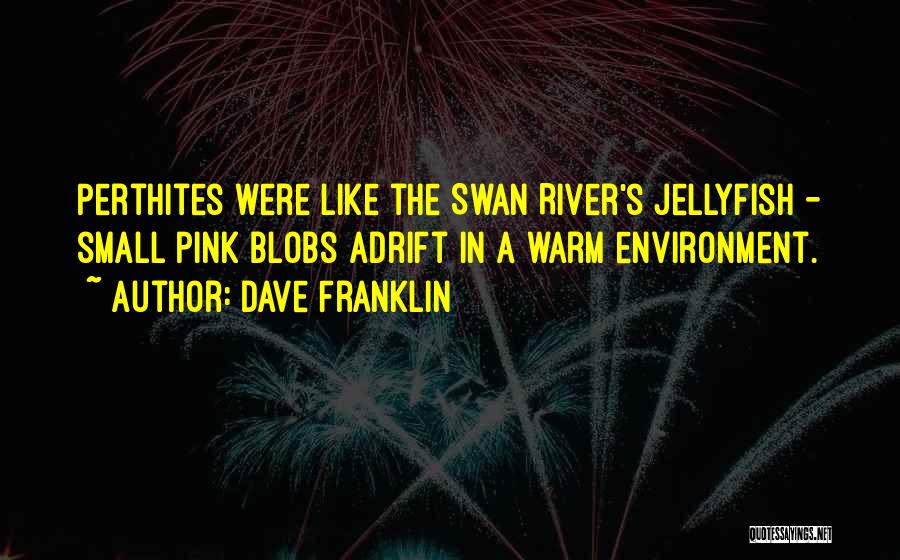 Dave Franklin Quotes: Perthites Were Like The Swan River's Jellyfish - Small Pink Blobs Adrift In A Warm Environment.