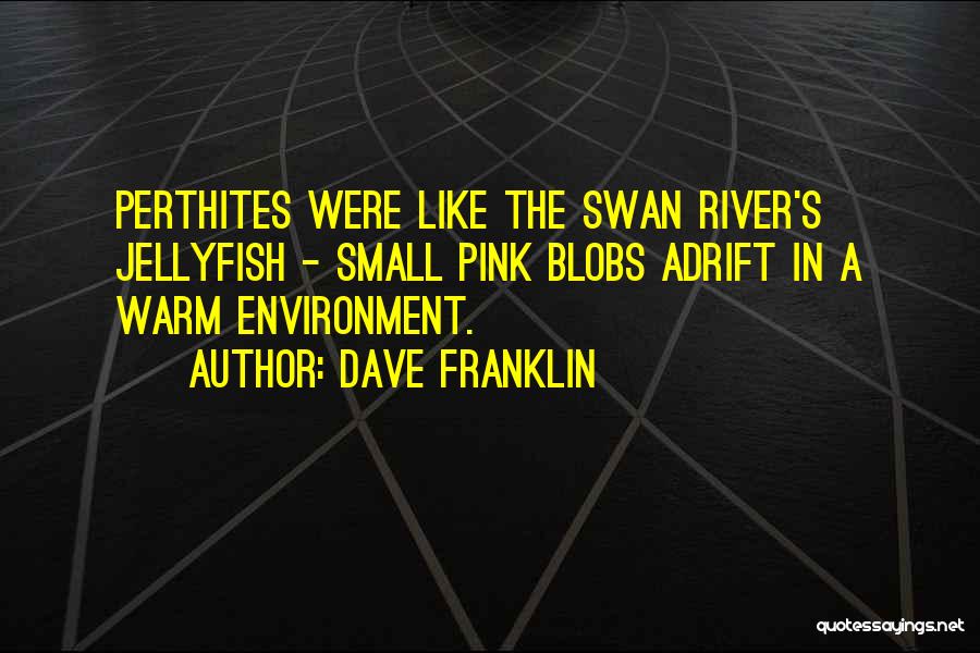 Dave Franklin Quotes: Perthites Were Like The Swan River's Jellyfish - Small Pink Blobs Adrift In A Warm Environment.
