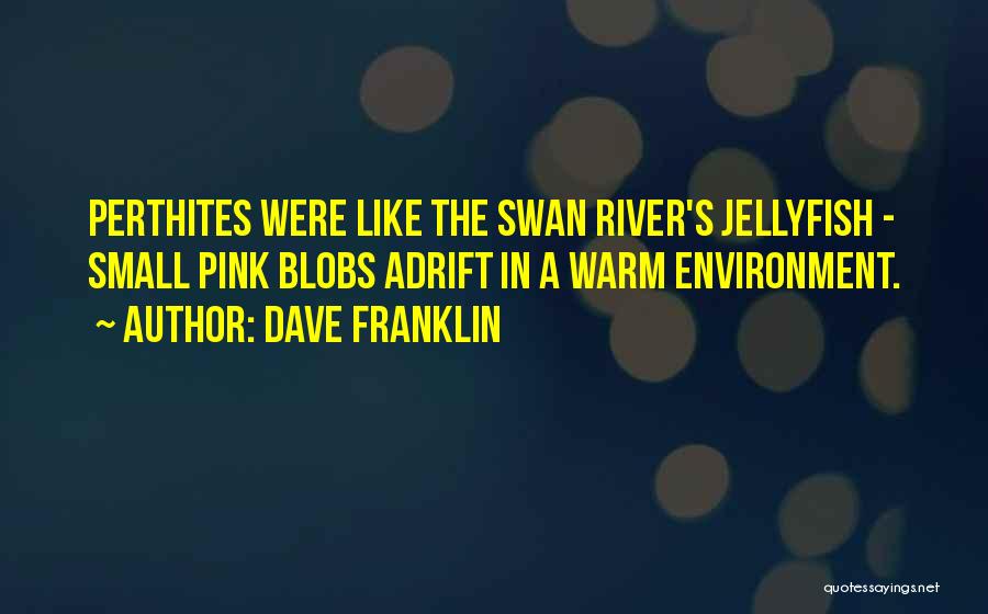 Dave Franklin Quotes: Perthites Were Like The Swan River's Jellyfish - Small Pink Blobs Adrift In A Warm Environment.