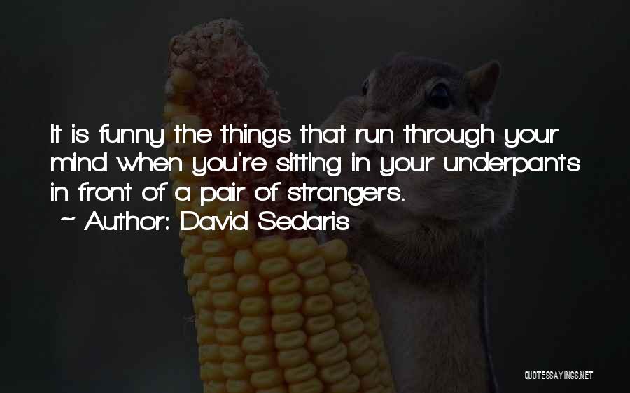 David Sedaris Quotes: It Is Funny The Things That Run Through Your Mind When You're Sitting In Your Underpants In Front Of A