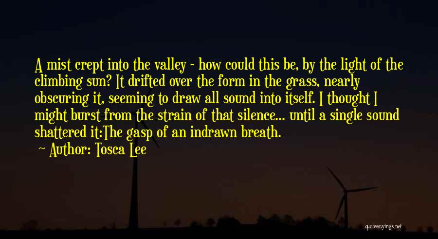 Tosca Lee Quotes: A Mist Crept Into The Valley - How Could This Be, By The Light Of The Climbing Sun? It Drifted