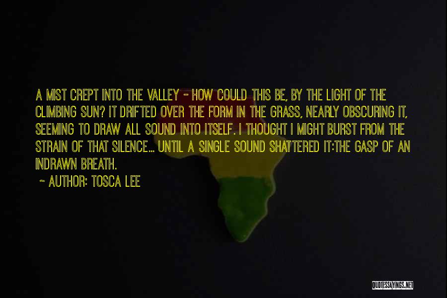 Tosca Lee Quotes: A Mist Crept Into The Valley - How Could This Be, By The Light Of The Climbing Sun? It Drifted
