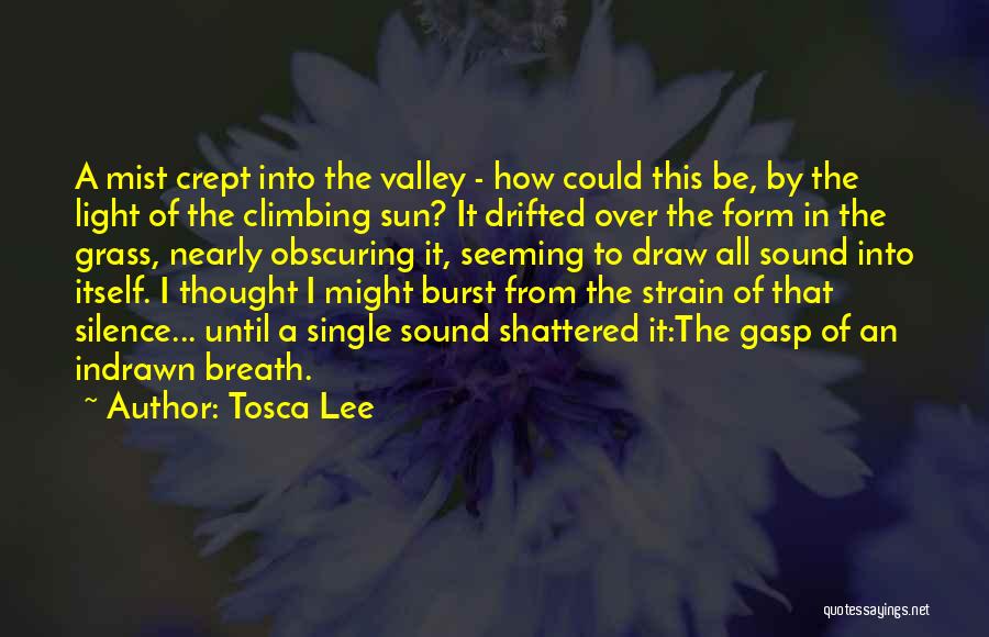 Tosca Lee Quotes: A Mist Crept Into The Valley - How Could This Be, By The Light Of The Climbing Sun? It Drifted
