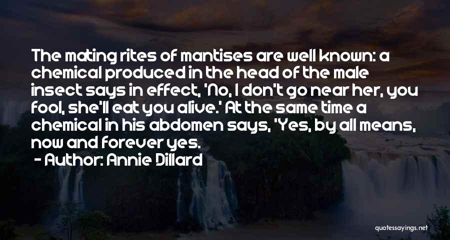 Annie Dillard Quotes: The Mating Rites Of Mantises Are Well Known: A Chemical Produced In The Head Of The Male Insect Says In