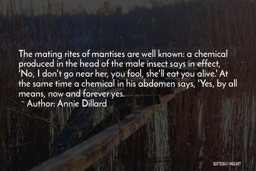 Annie Dillard Quotes: The Mating Rites Of Mantises Are Well Known: A Chemical Produced In The Head Of The Male Insect Says In