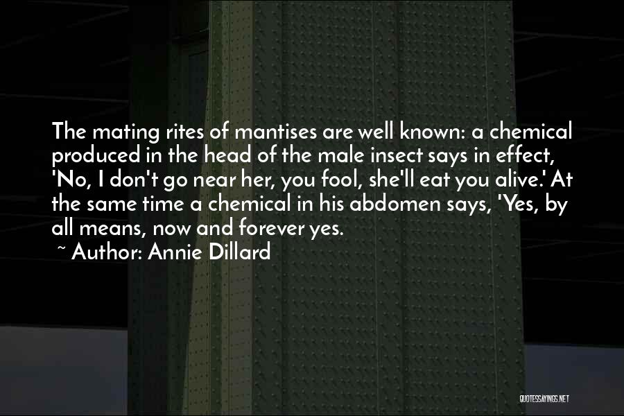 Annie Dillard Quotes: The Mating Rites Of Mantises Are Well Known: A Chemical Produced In The Head Of The Male Insect Says In