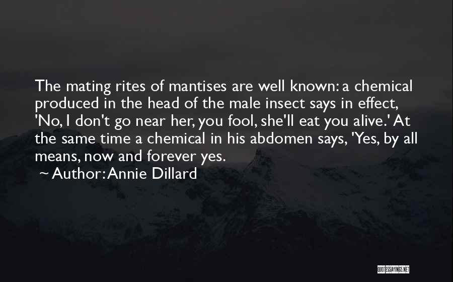 Annie Dillard Quotes: The Mating Rites Of Mantises Are Well Known: A Chemical Produced In The Head Of The Male Insect Says In