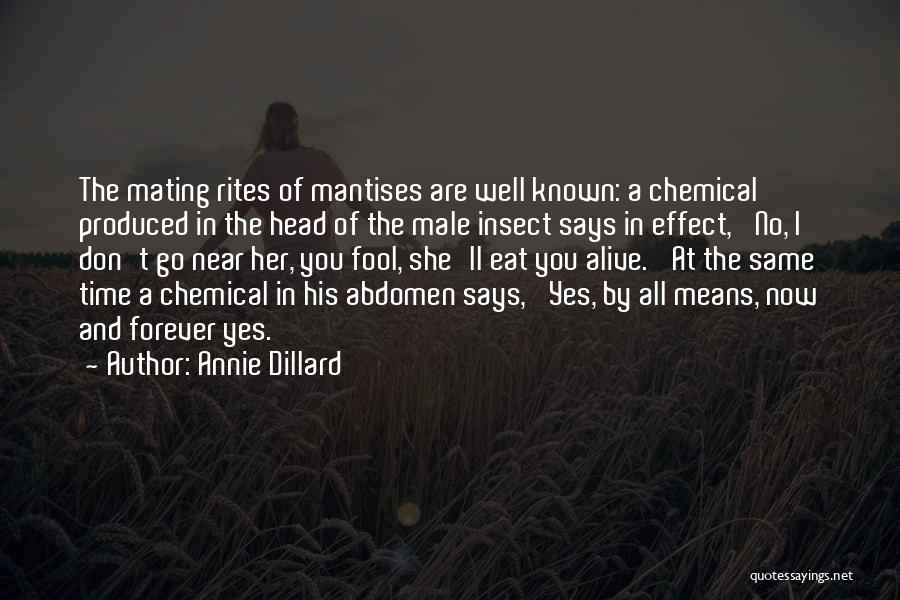 Annie Dillard Quotes: The Mating Rites Of Mantises Are Well Known: A Chemical Produced In The Head Of The Male Insect Says In