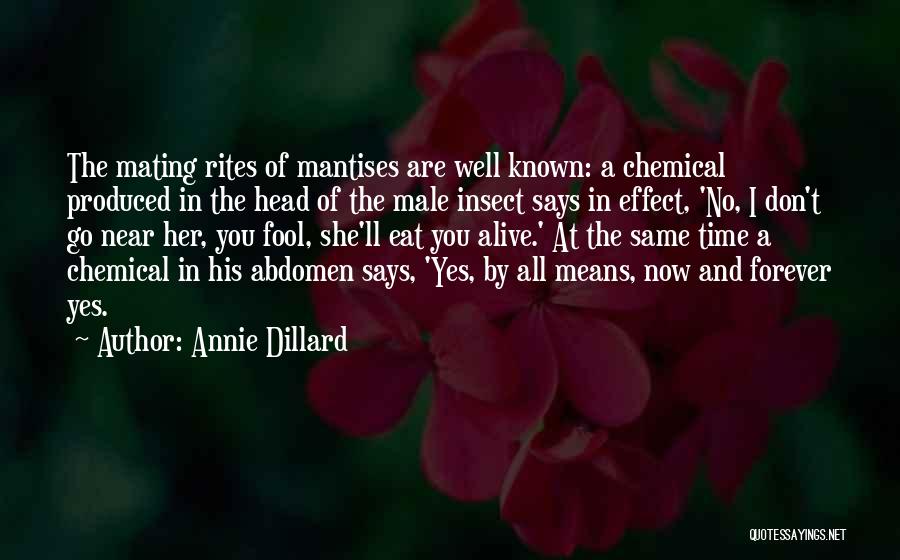 Annie Dillard Quotes: The Mating Rites Of Mantises Are Well Known: A Chemical Produced In The Head Of The Male Insect Says In