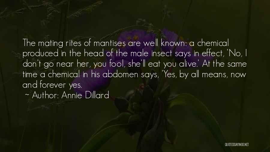 Annie Dillard Quotes: The Mating Rites Of Mantises Are Well Known: A Chemical Produced In The Head Of The Male Insect Says In