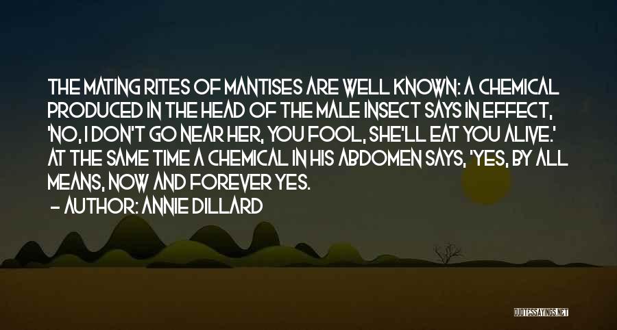 Annie Dillard Quotes: The Mating Rites Of Mantises Are Well Known: A Chemical Produced In The Head Of The Male Insect Says In