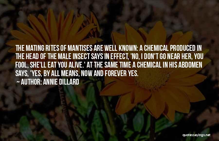 Annie Dillard Quotes: The Mating Rites Of Mantises Are Well Known: A Chemical Produced In The Head Of The Male Insect Says In